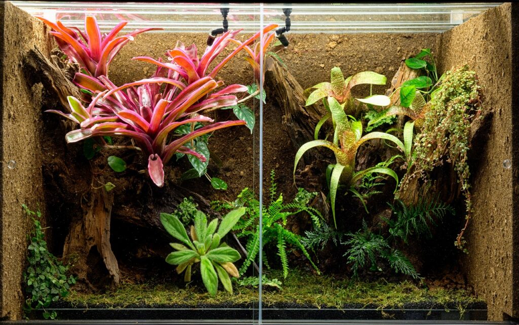 The best plants to add to your terrarium